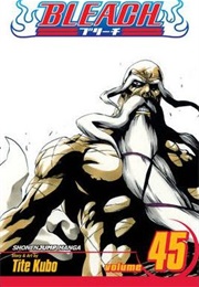 Bleach Volume 45 (Tite Kubo)