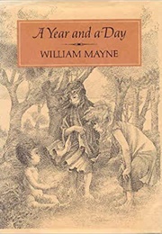 A Year and a Day (William Mayne)