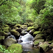 Waiere Falls, Matamata