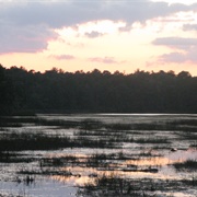 Bass River State Park