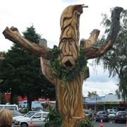 Tokoroa, New Zealand