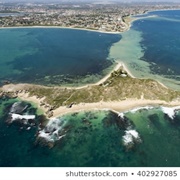 Penguin  Island, Australia