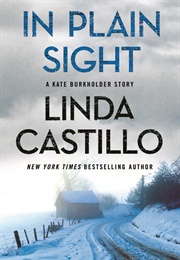 In Plain Sight (Linda Castillo)