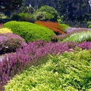 Mendocino Coast Botanical Gardens