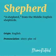Shepherd