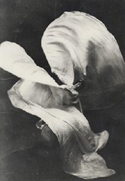 Serpentine Dance (1896)