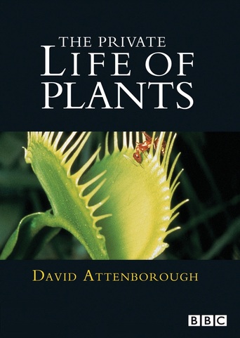The Private Life of Plants (1995)