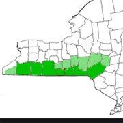 Southern Tier of New York