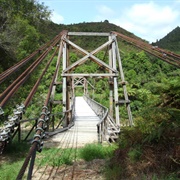 Tauranga Stream Suspension Bridge Loop, Whakatane
