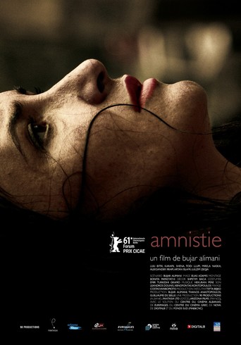 Amnesty (2012)
