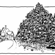 Sarah Cynthia Sylvia Stout - Shel Silverstein