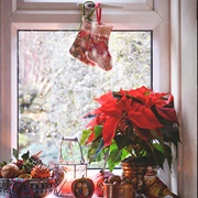Decorate With Poinsettias