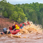 Raft a Tidal Wave (NS)