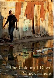 The Colour of Dawn (Yanick Lahens)