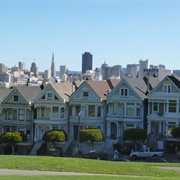 Painted Ladies