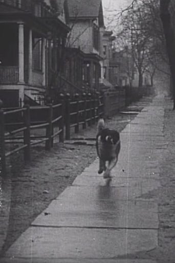 The Detective&#39;s Dog (1912)