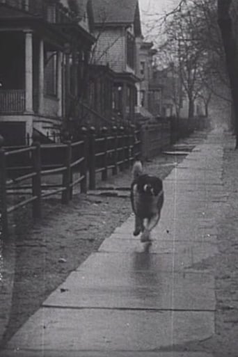 The Detective's Dog (1912)