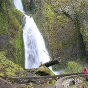 Wahkeena Falls
