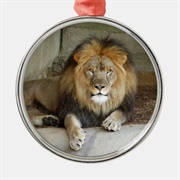 African Lion Ornament