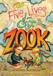 The Five Lives of Our Cat Zook (Joanne Rocklin)
