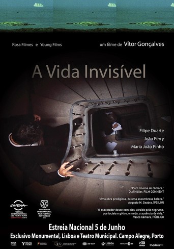 The Invisible Life (2013)