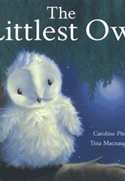 The Littlest Owl (Pitcher, Caroline)
