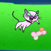 Cassandra the Cruelest Kitten