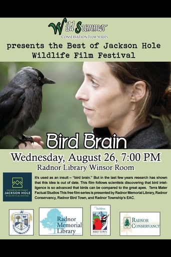 Bird Brain (2012)