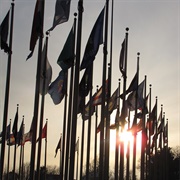 Avenue of Flags