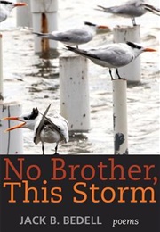 No Brother, This Storm (Jack B. Bedell)