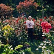 Put Your Records on - Ritt Momney