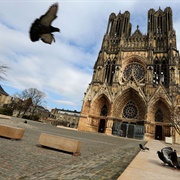 Notre Dame Cathedral