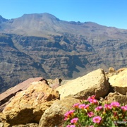 Go Mountain Climbing in Chile