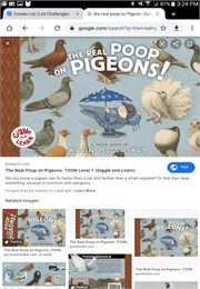 The Real Poop on Pigeons (Kevin Gravel)