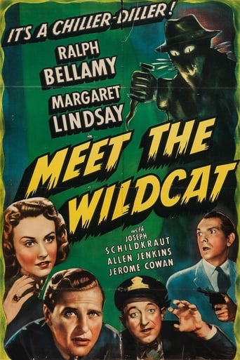 Meet the Wildcat (1940)