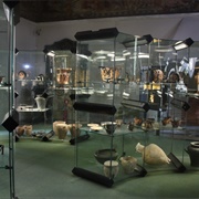 Museo Archeologico Nazionale Delle Marche