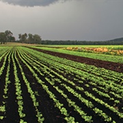 Farm to Table Movement in the Hudson Valley