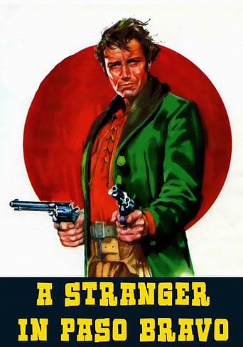A Stranger in Paso Bravo (1969)