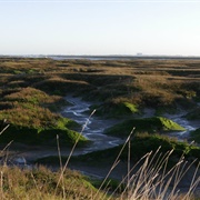 Copt Hall Marshes, Little Wigborough