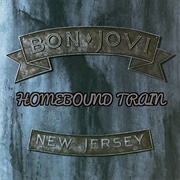Homebound Train