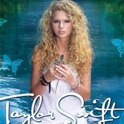 Invisible - Taylor Swift