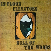 13th Floor Elevators - Bull of the Woods