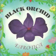 Black Orchid - Earotica