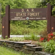 Daughters of the American Revolution State Forest, Massachusetts