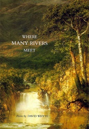Where Many Rivers Meet (David Whyte)