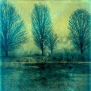 Taylor Deupree - Snow (Dusk, Dawn)