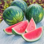 Watermelon Fest
