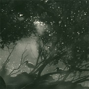 Chris Abrahams - Play Scar