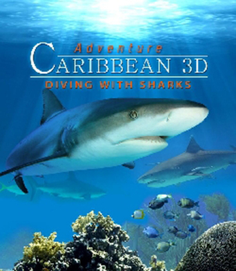 Adventure Caribbean 3D: Diving With Sharks (2012)