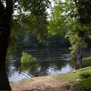 Givhans Ferry State Park